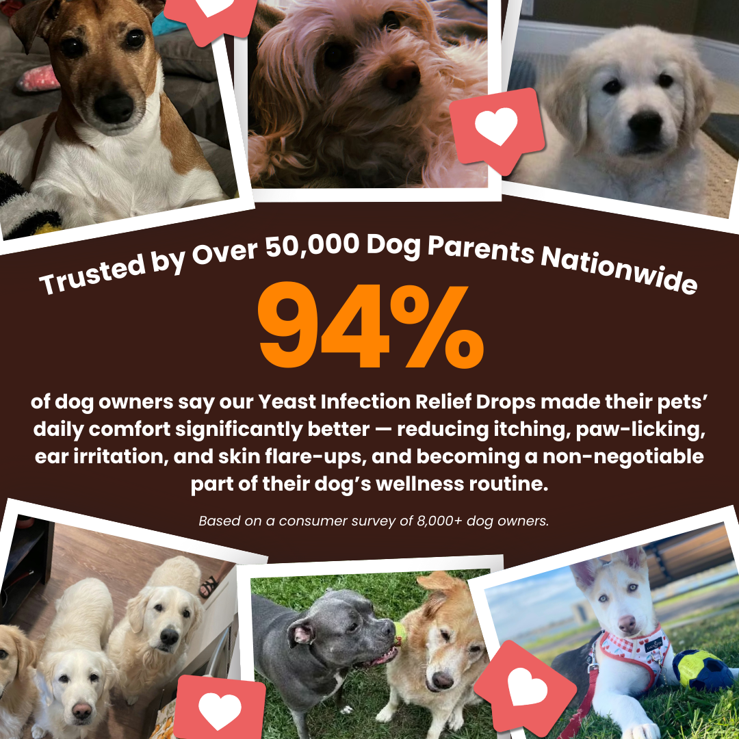 Natur™ Ear &  Skin Yeast Control - New Formula