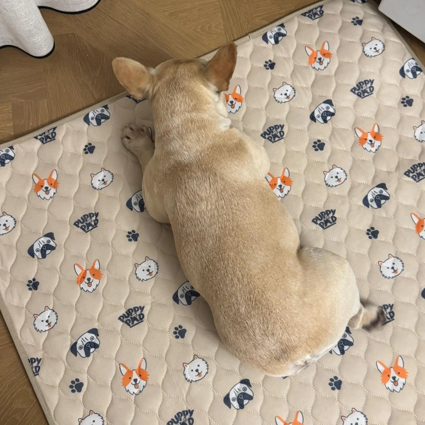 PuppyPad - The Last Pee Pad You'll Get